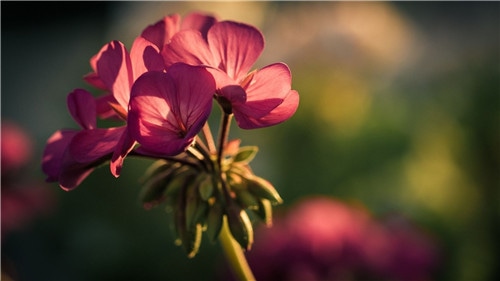 2024父亲节祝福语一句话简短