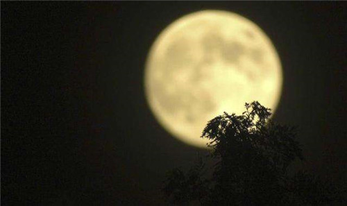 1598263308561955.jpg timg.jpg