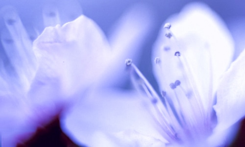 2025天冷加衣暖心句子100句