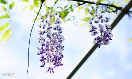 2025最后一天发朋友圈经典文案说说 2025最后一天发朋友圈经典文案说说