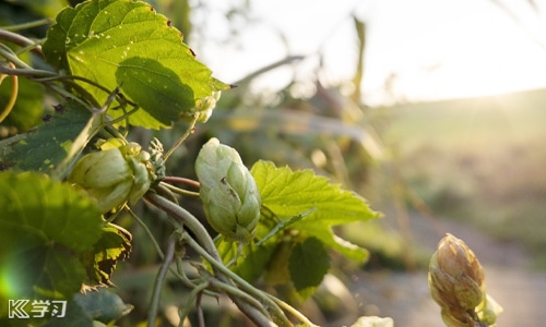 2025再见2026你好的句子文案