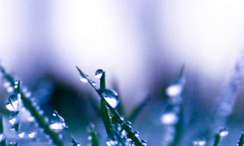 今日冬至经典古诗词 今日冬至经典古诗词