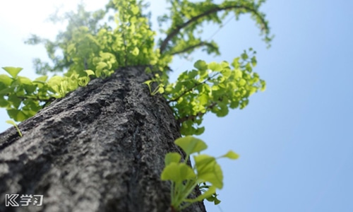 2026春节各地就地过年补贴怎么领