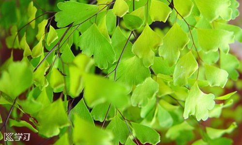 2026迎接开学的句子优美短句