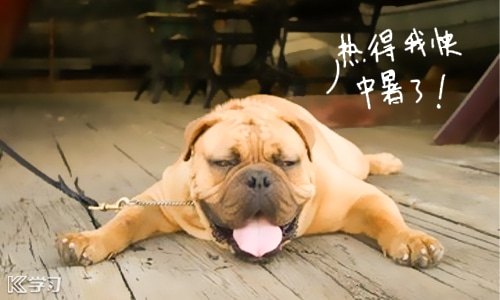 2026天气热心情说说180句