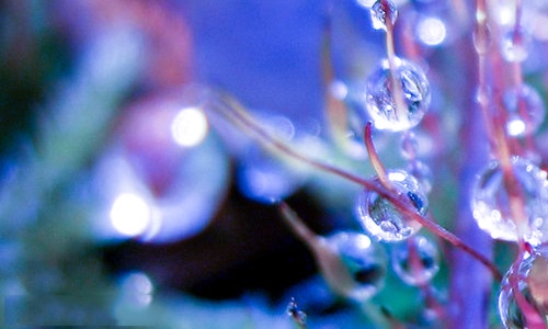 2025七夕情书简单版