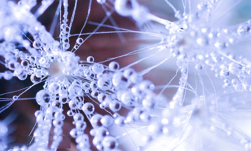 期刊论文评语大全 期刊论文评语大全