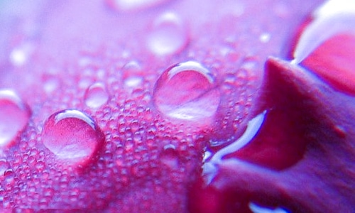 2026有意义的劳动节作文400字5篇